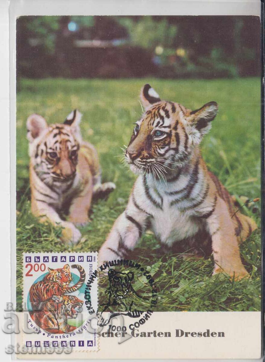 Κάρτα Ταχυδρομείου MAX ΖΩΑ