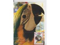 Κάρτα ταχυδρομείου MAX Πτηνά Παπαγάλος