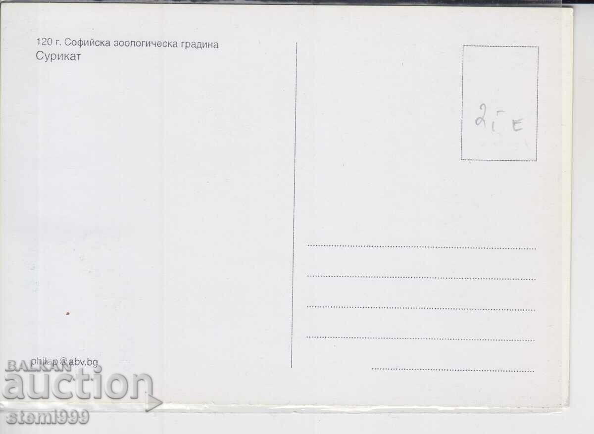 Пощенска картата МАХ ЖИВОТНИ ЗООЛОГИЧЕСКА Гр. с цена € 1.20 | 2.35 лв.