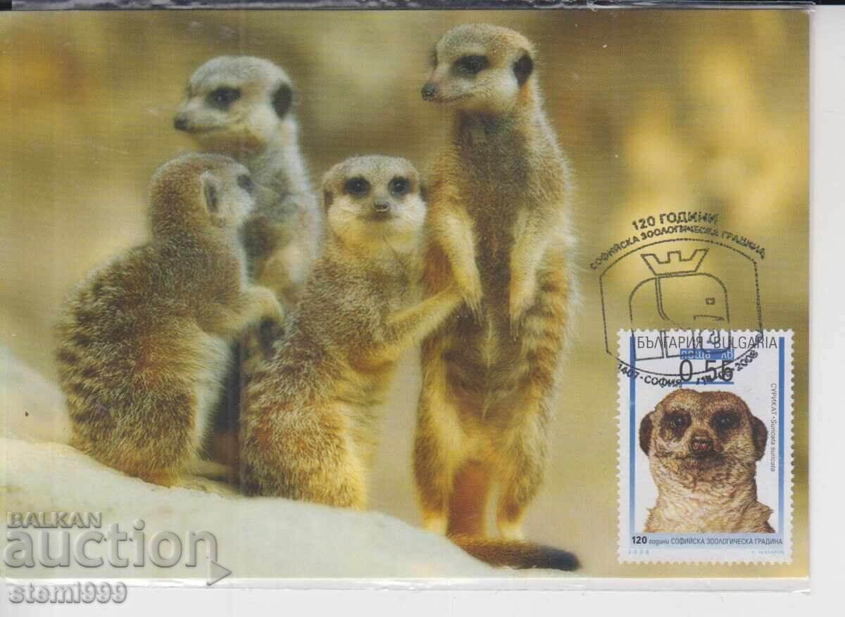 Пощенска картата МАХ ЖИВОТНИ ЗООЛОГИЧЕСКА Гр.