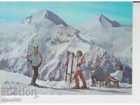 Kartichka MAKH PIRIN ΣΚΙ ΠΛΑΝΙΝΑ