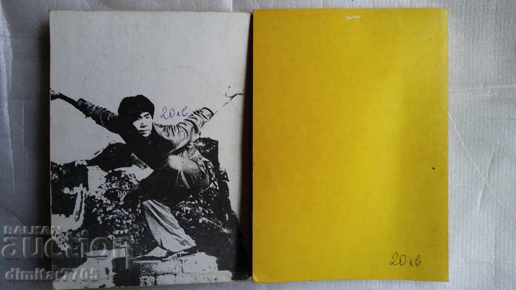 NAN CHUAN BEI TUI PUMNUL DE SUD PICIOSA DE NORD 2 piese - 6