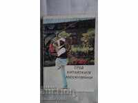 WUSHU AMONG CHINESE MUSLIMS