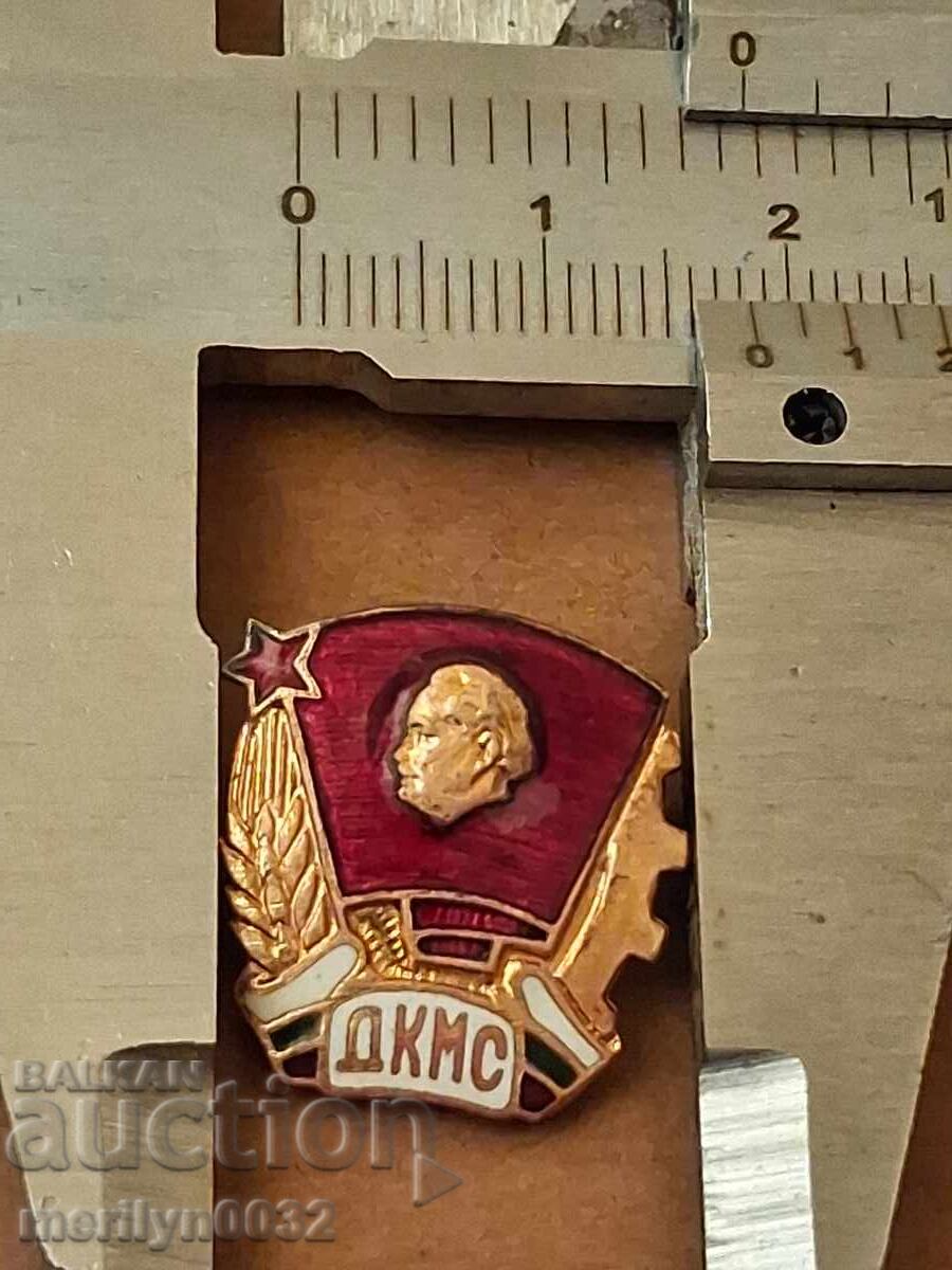 Livrarea Insigna ecuson insignă DKMS medalie