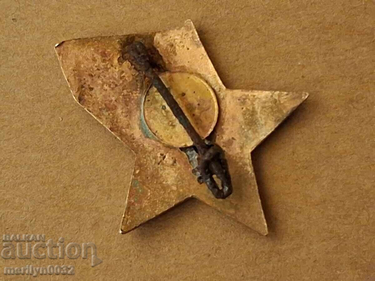 Breast badge Bulgarian National Women's Union badge with price € 36.59 | 71.56 BGN