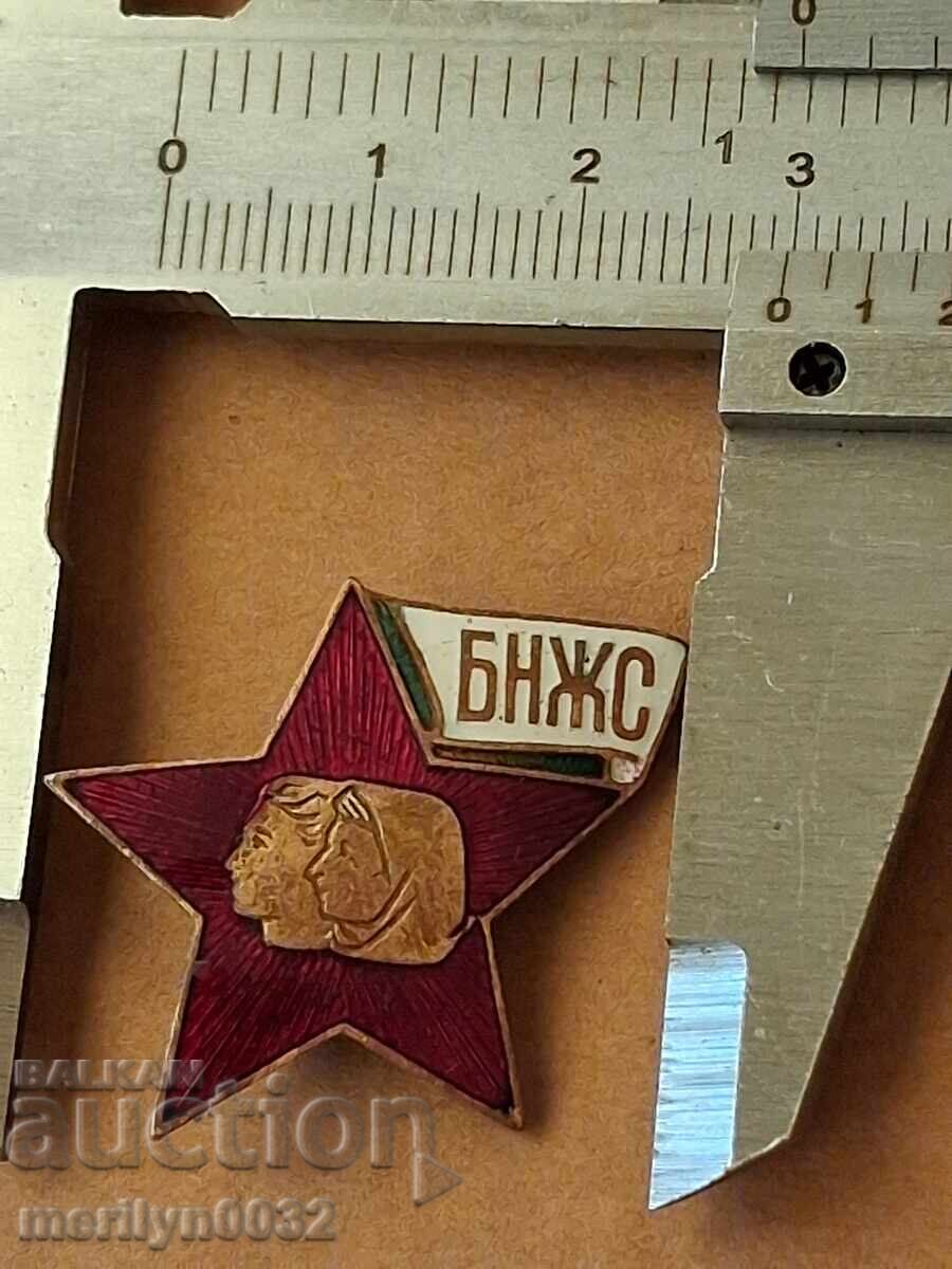Auction  Breast badge Bulgarian National Women's Union badge