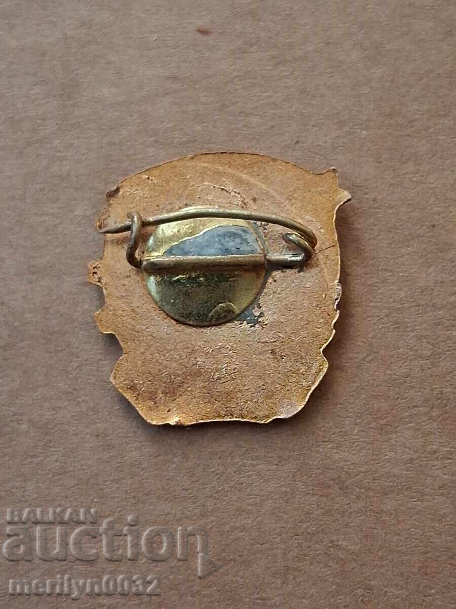 Insigna ecuson insignă DKMS medalie - 5 Insigna ecuson insignă DKMS medalie - 5