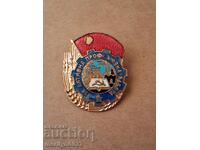 Breast badge For active trade union work medal badge