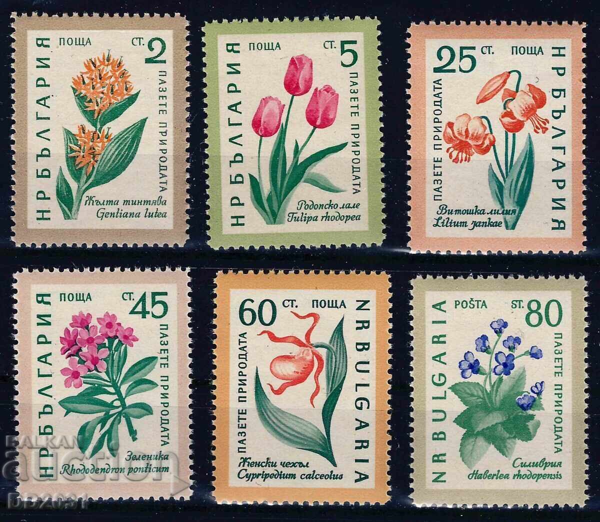 Bulgaria 1960 - flori MNH