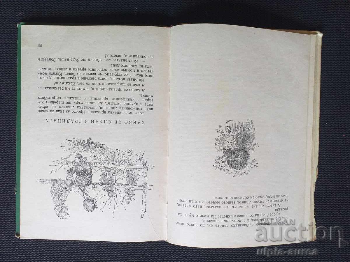 Δημοπρασία Ιστορίες του δάσους