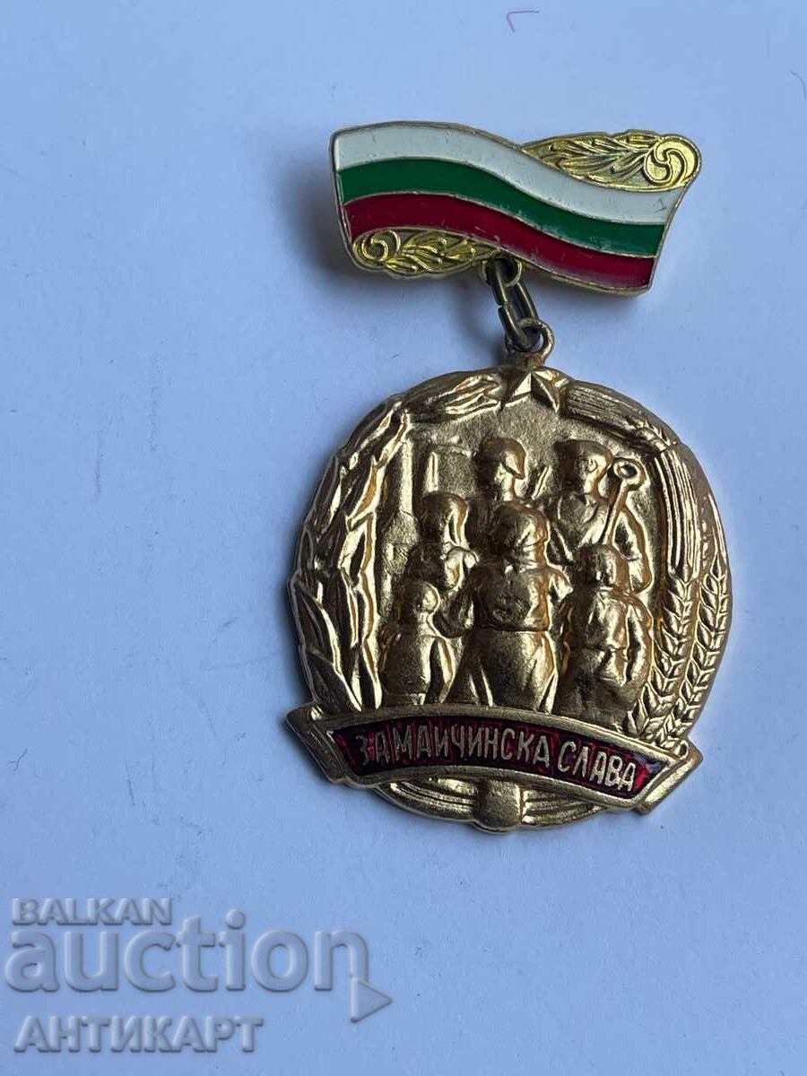 ryadyk orden Za maychinska slava I stepen