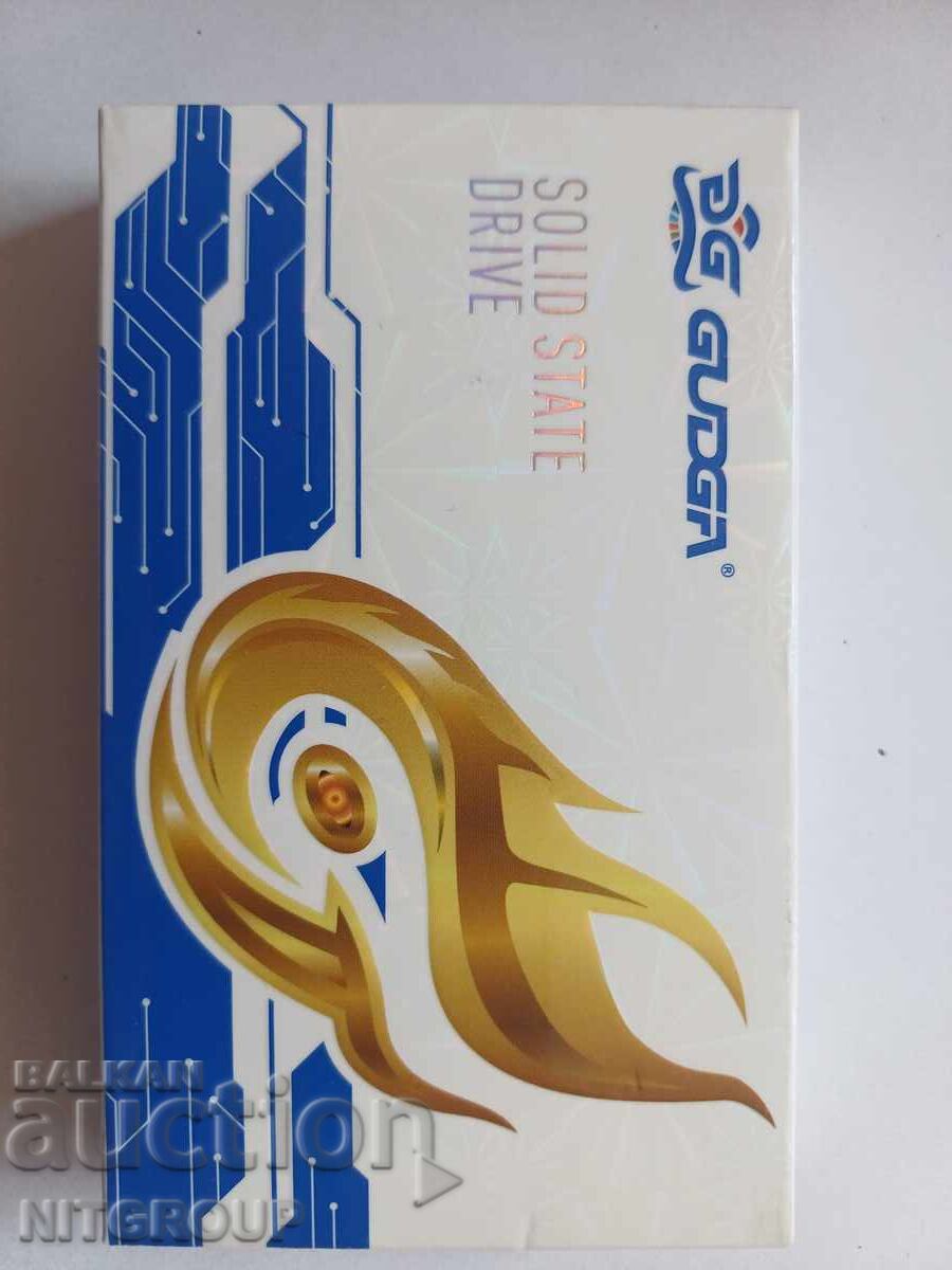 Auction  GUDGA 256 GB SSD