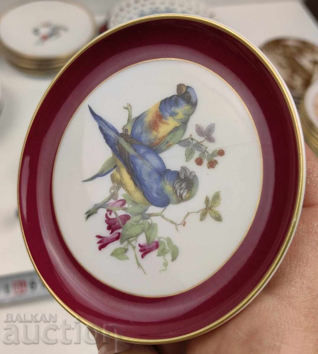 ΣΥΛΛΟΓΗ ΠΟΥΛΙΩΝ ΠΟΥΛΙ ΠΟΡΣΕΛΑΝΗΣ ΜΙΚΡΟ ΠΙΑΤΟ ΠΙΑΤΑ - 5 ΣΥΛΛΟΓΗ ΠΟΥΛΙΩΝ ΠΟΥΛΙ ΠΟΡΣΕΛΑΝΗΣ ΜΙΚΡΟ ΠΙΑΤΟ ΠΙΑΤΑ - 5