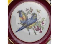 ПТИЦА ПТИЦИ КОЛЕКЦИЯ МАРКОВА МАЛКА ПОРЦЕЛАНОВА ЧИНИЙКА ЧИНИЯ