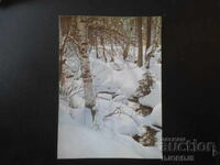 Khudozhnik Dimitŭr Paunov, Stara kartichka