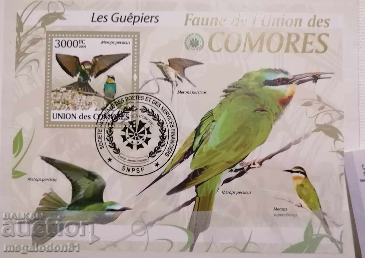 Comore - păsări