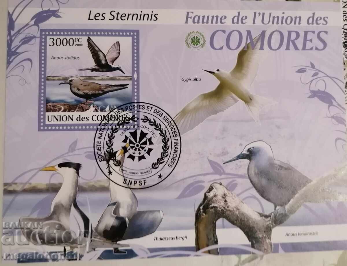 Insulele Comore - păsări, pescăruși Insulele Comore - păsări, pescăruși