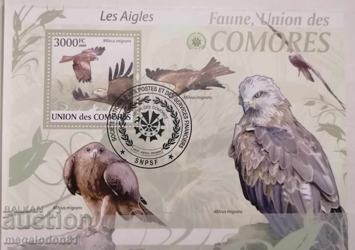 Insulele Comore - păsări, prădători Insulele Comore - păsări, prădători
