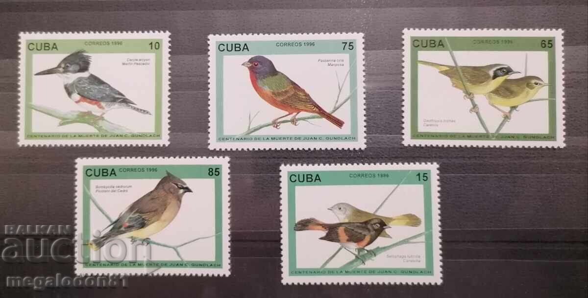 Κούβα - ορνιθοπανίδα