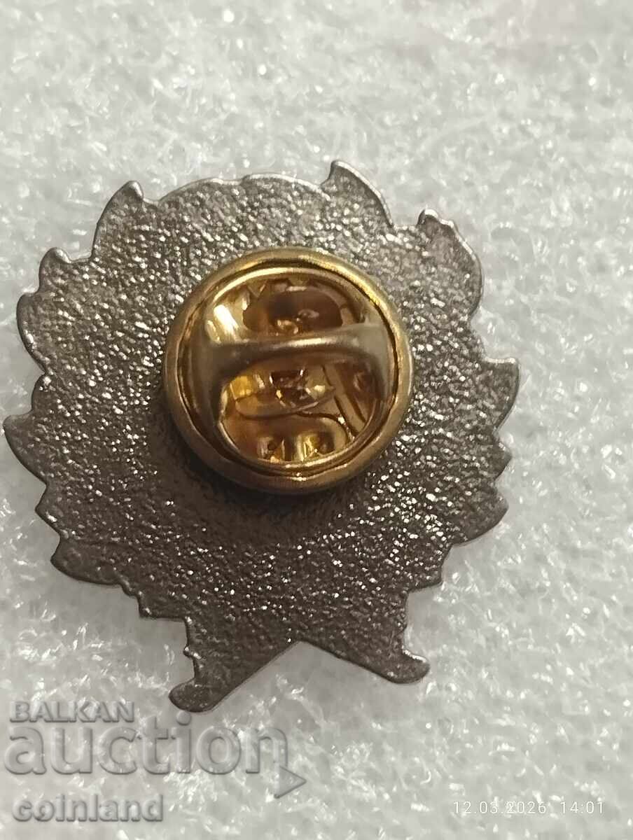 ΜΑΣΟΝΙΚΟ ΣΗΜΑ με τιμή € 7.00 | 13.69 BGN