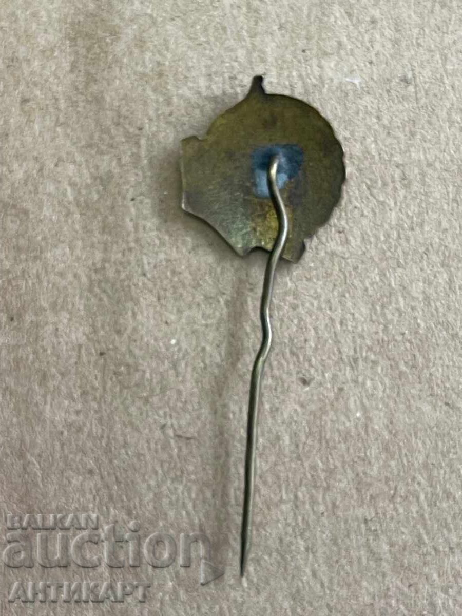 Livrarea Semn și diplomă pentru insigna RMS bronz email