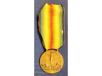 Medalie PSV - Italia