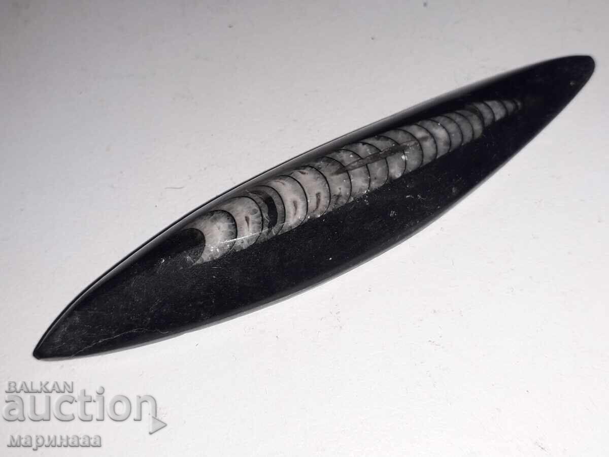 ΦΟΣΙΛ. ΟΡΘΟΚΕΡΑΣ με τιμή € 4.00 | 7.82 BGN