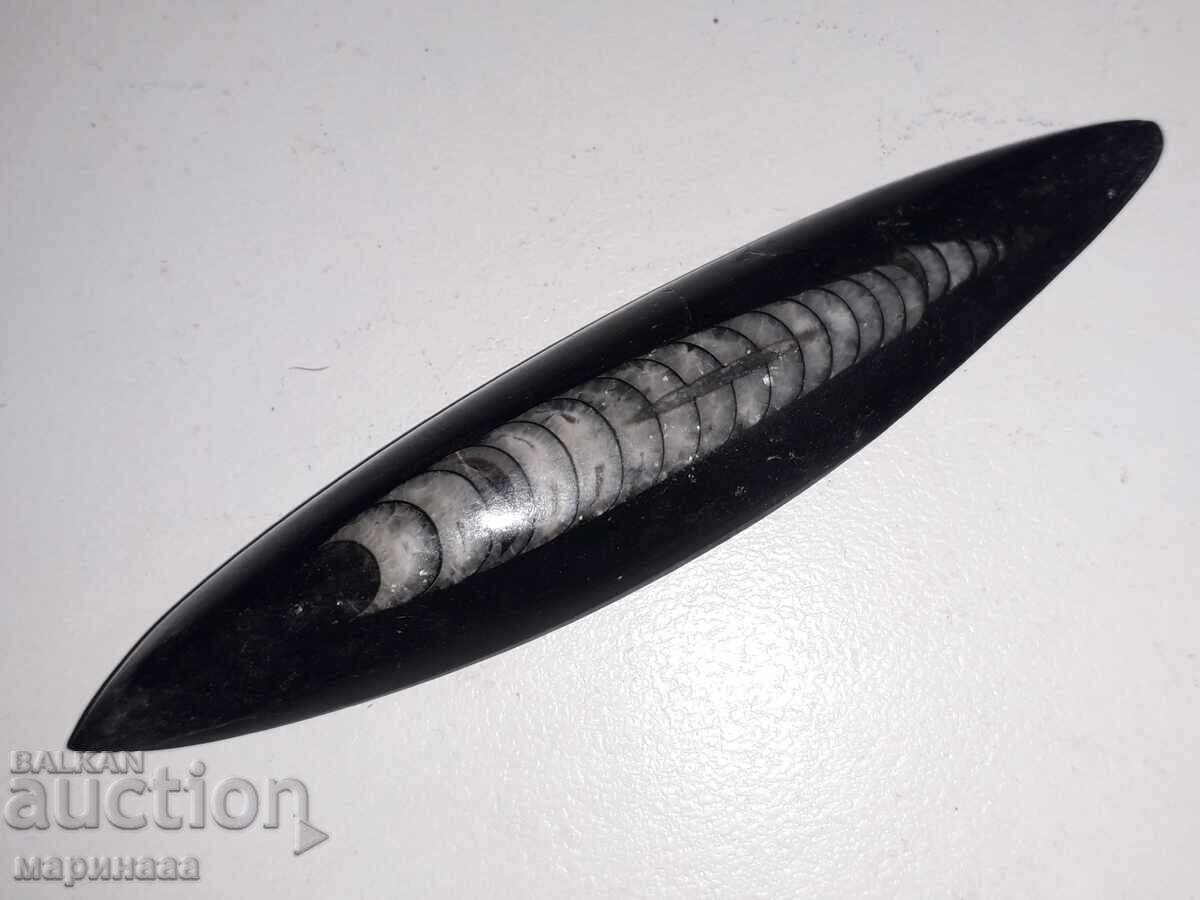 ΦΟΣΙΛ. ΟΡΘΟΚΕΡΑΣ