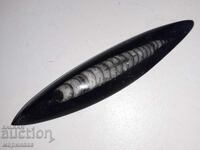 ΦΟΣΙΛ. ΟΡΘΟΚΕΡΑΣ