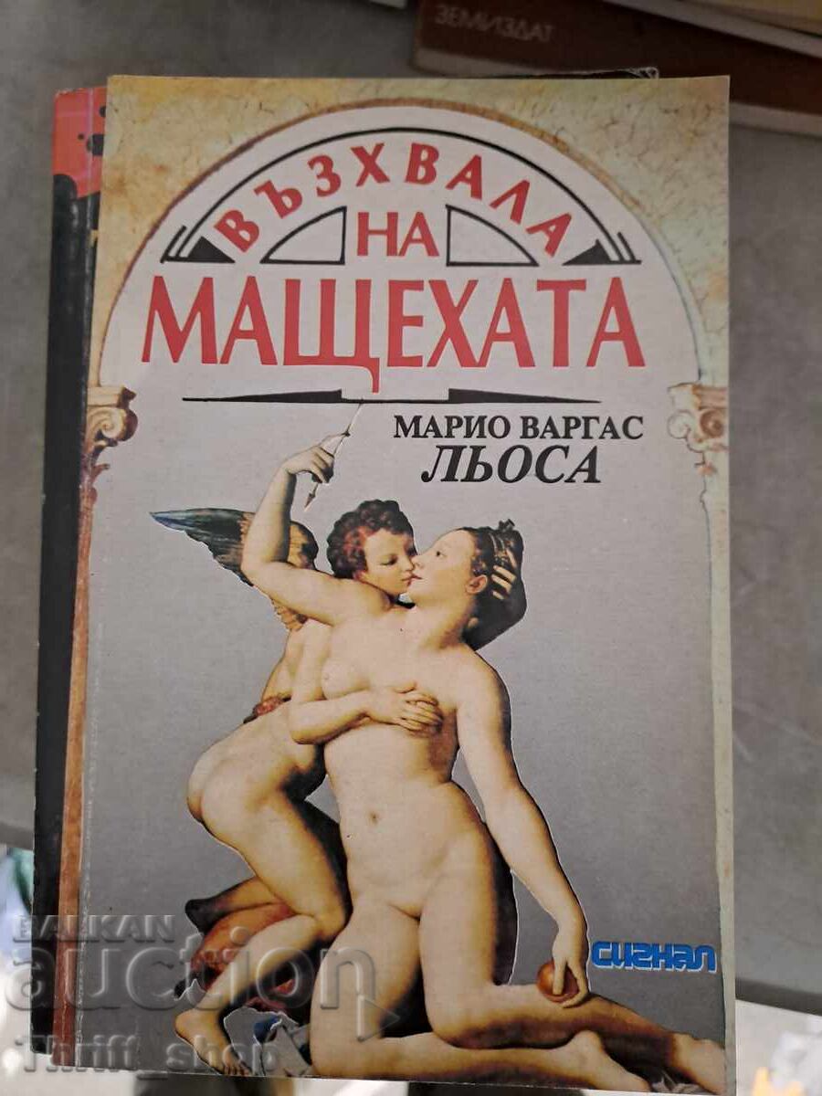 Εγκώμιο για τη μητριά: Μάριο Βάrgas Λιοσα