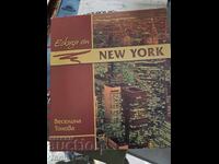 Schițe New York Veselina Tonova - mesaj