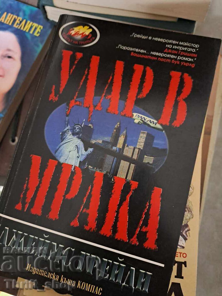 O lovitură în întuneric James Grady O lovitură în întuneric James Grady