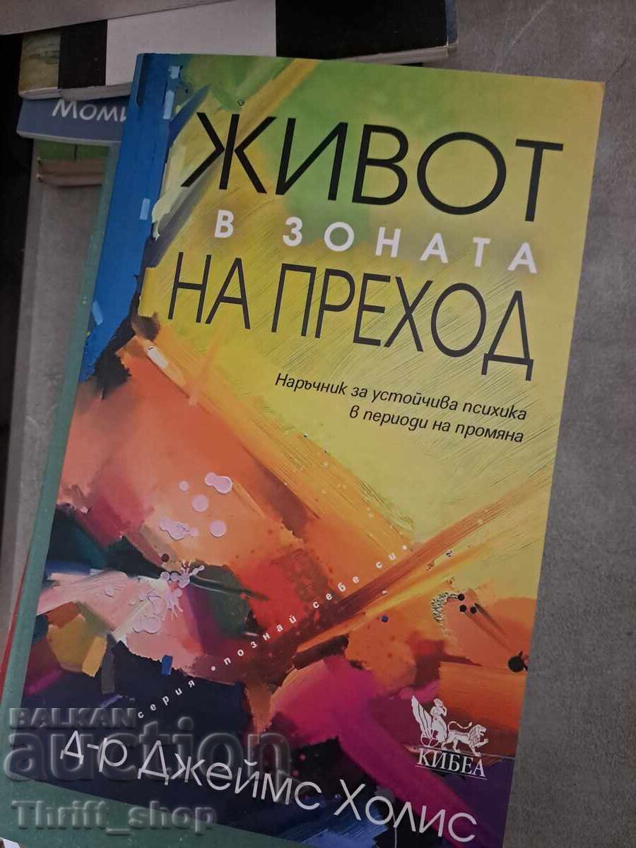 Life in the Transition Zone by James Hollis