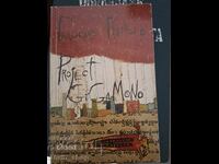 Project GiGaMono Радослав Парушев