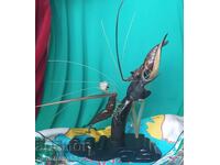 ВИНТИДЖ декорация от Панама Скулптура скариди риба и каре