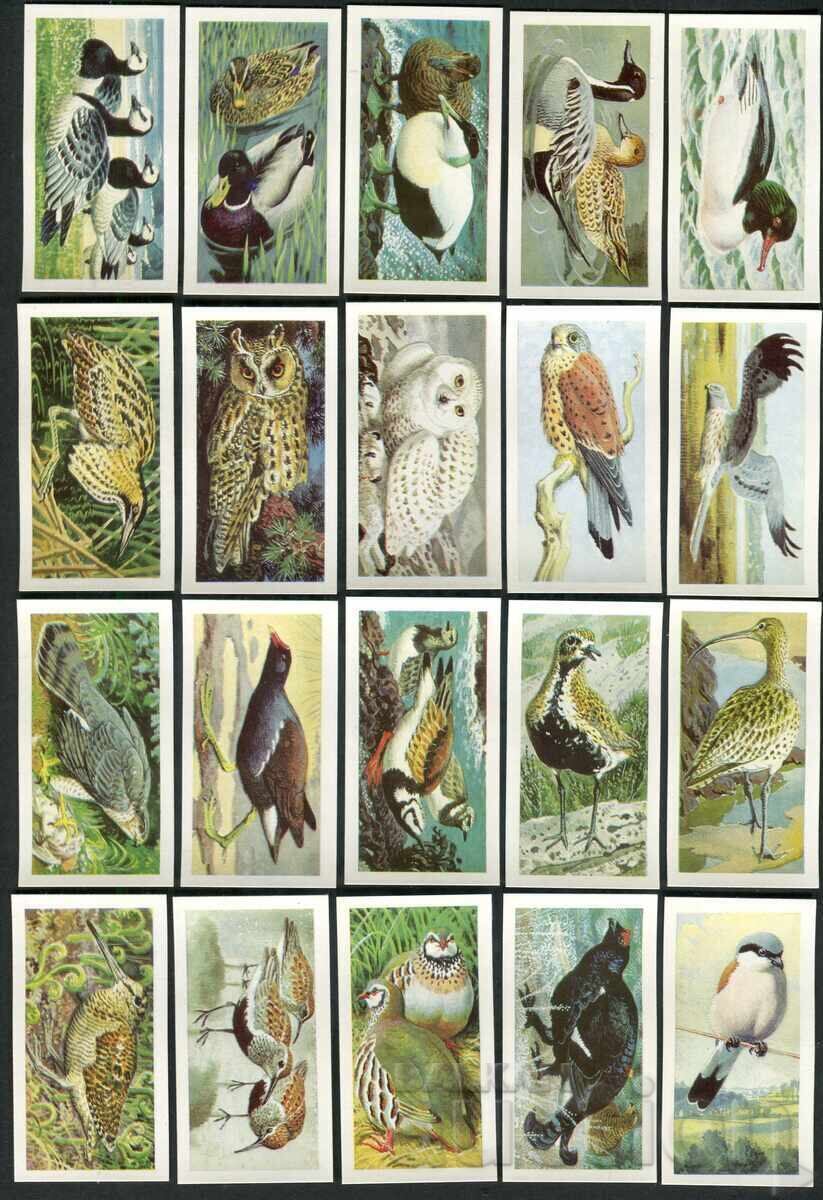 Δημοπρασία Brooke Bond chaeni kartichki 1965g. - Divi ptitsi vŭv Velikobritaniya x50