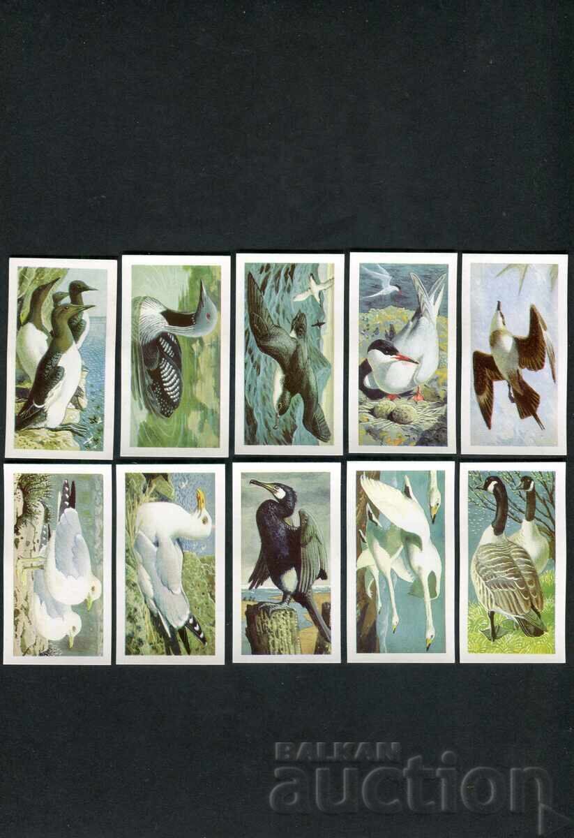 Παράδοση Brooke Bond chaeni kartichki 1965g. - Divi ptitsi vŭv Velikobritaniya x50