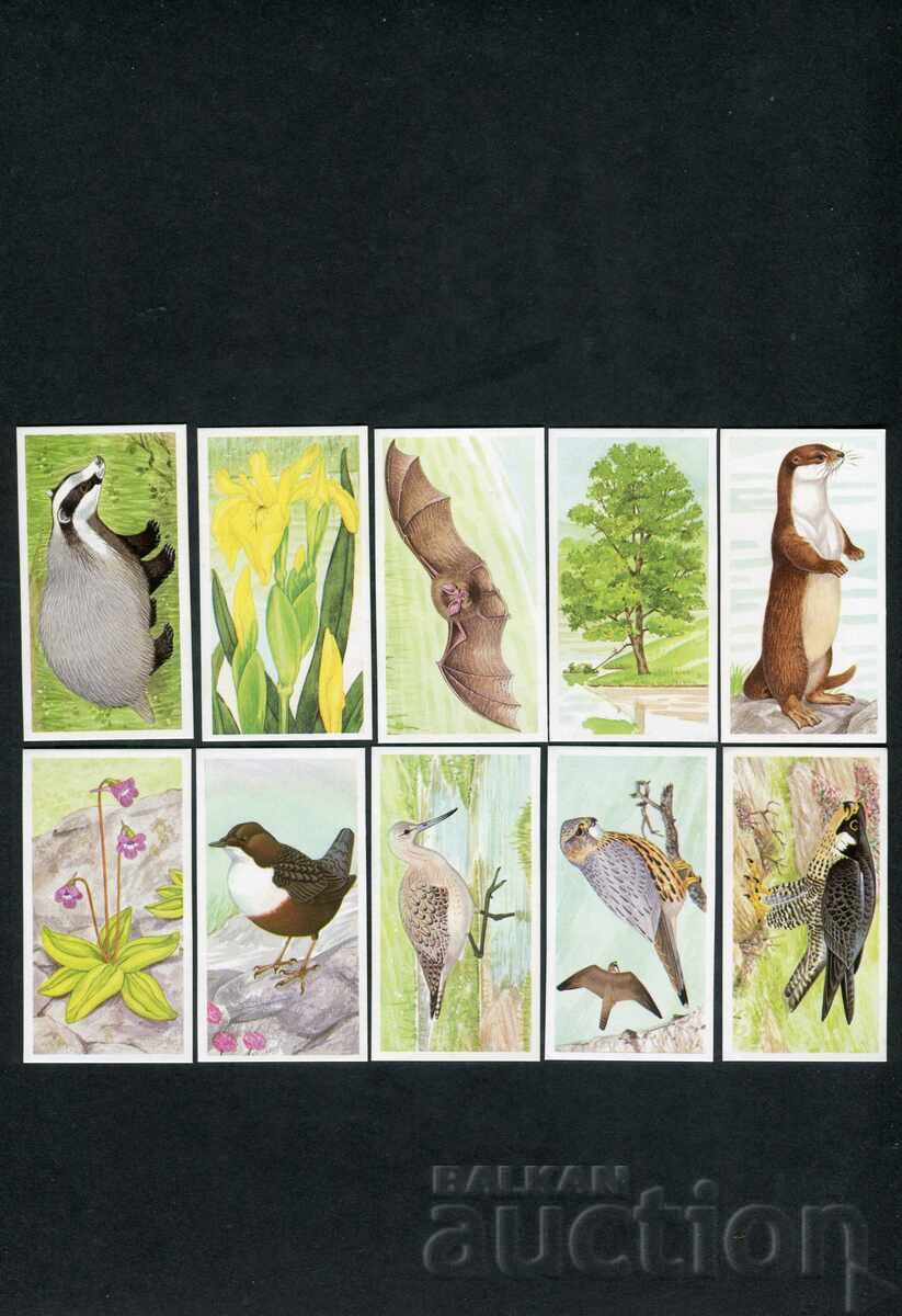 Licitație Brooke Bond cărți de ceai 1990 - A Journey Downstream x25