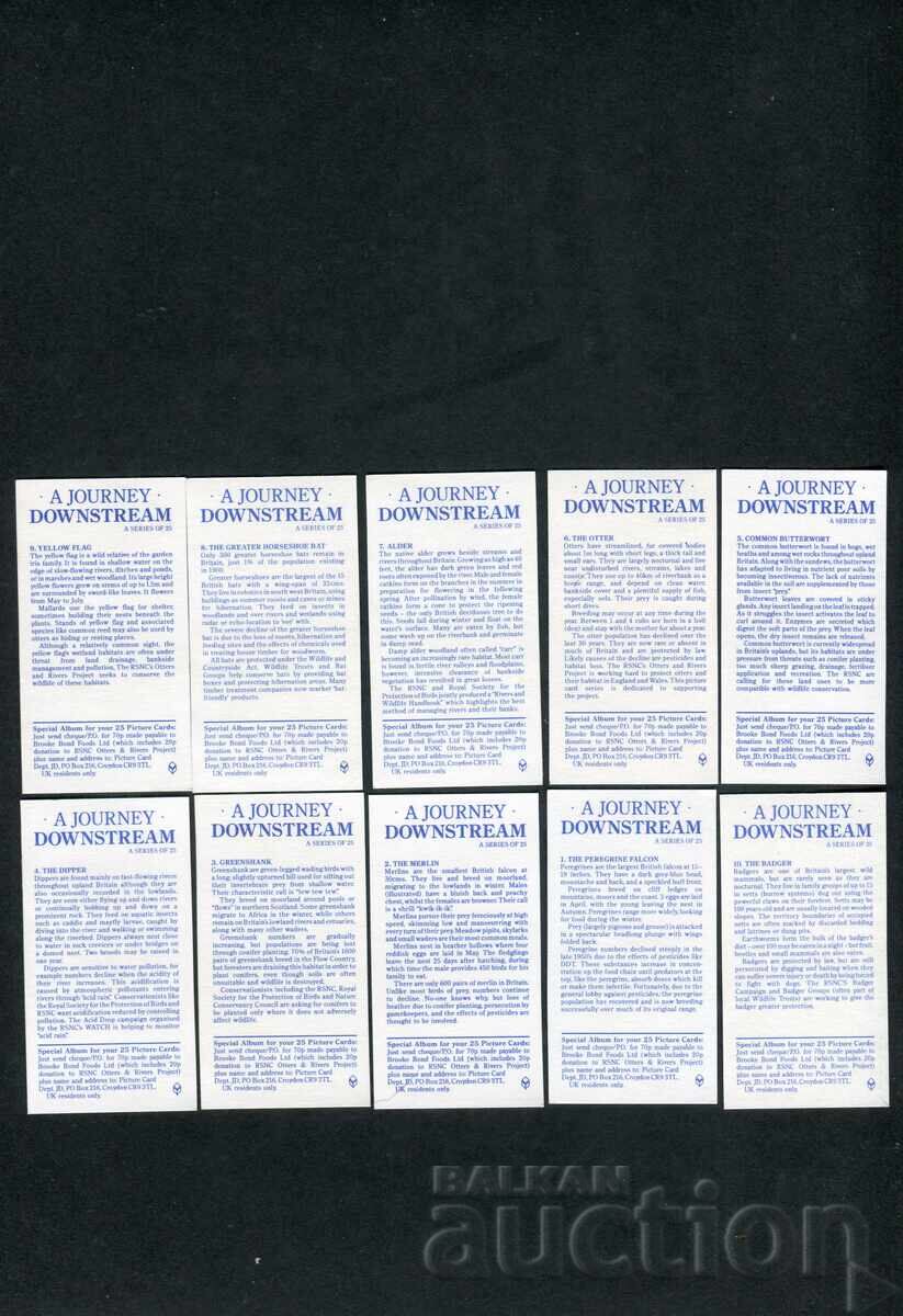 Livrarea Brooke Bond cărți de ceai 1990 - A Journey Downstream x25