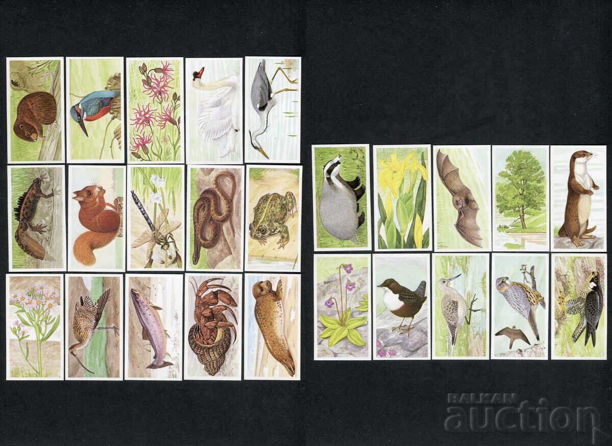 Brooke Bond cărți de ceai 1990 - A Journey Downstream x25