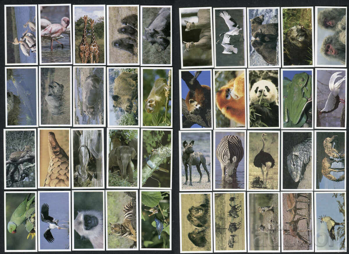 Brooke Bond chaeni kartichki 1992g. - Φυσικοί Γείτονες x40