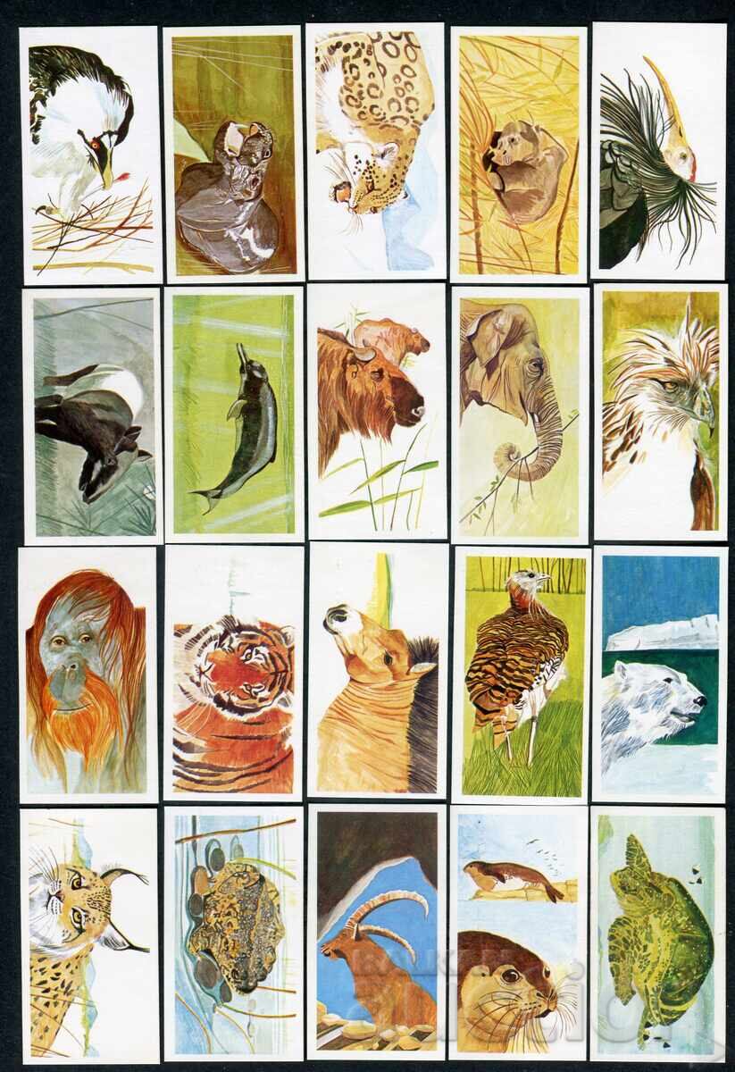 Brooke Bond cărți de ceai 1988 - Vanishing Wildlife x40 cu preț € 3.90 | 7.63 BGN