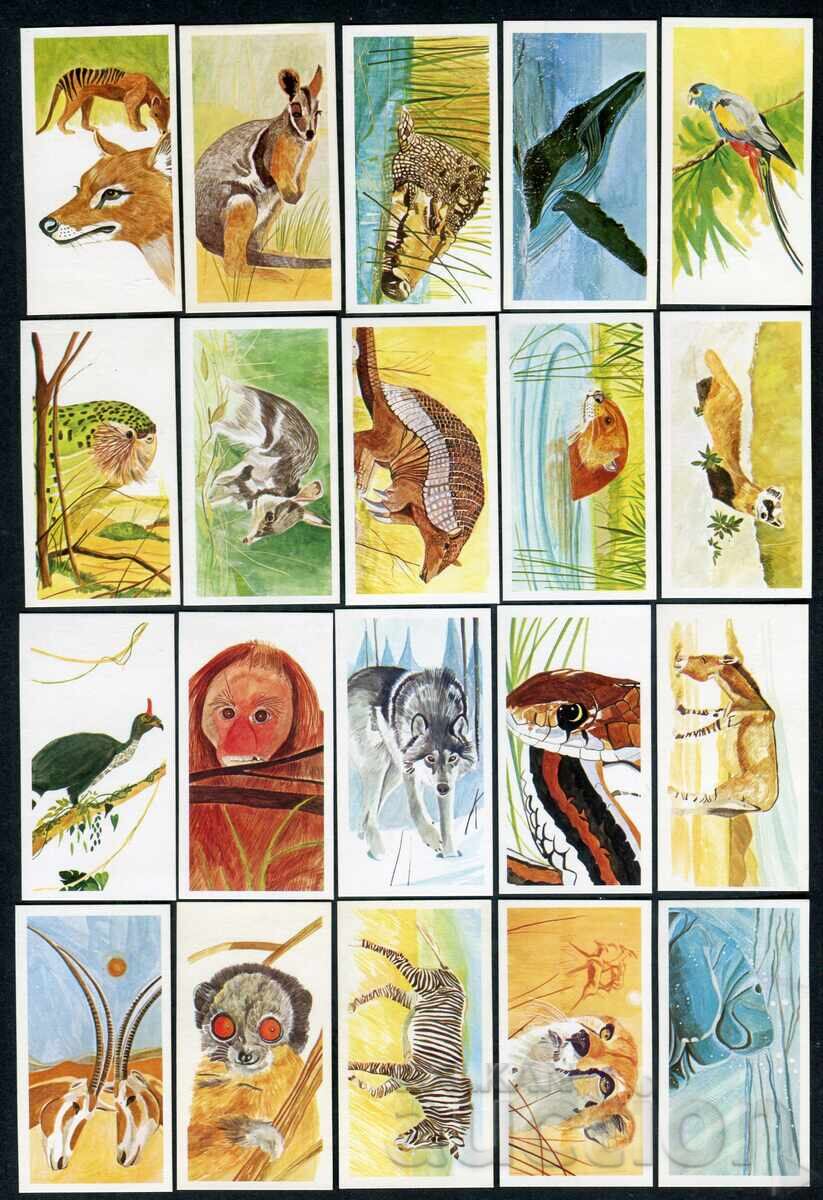 Licitație Brooke Bond cărți de ceai 1988 - Vanishing Wildlife x40