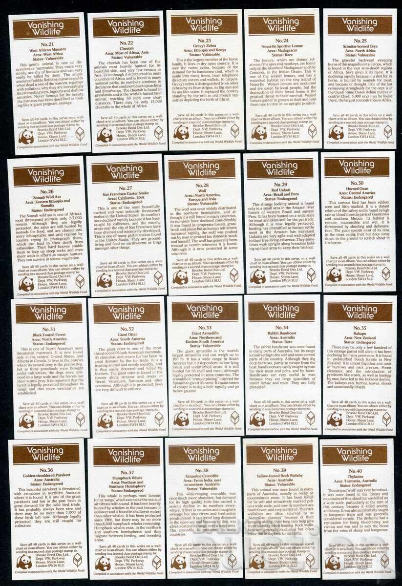 Livrarea Brooke Bond cărți de ceai 1988 - Vanishing Wildlife x40
