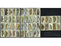 Brooke Bond tea cards 1960s - Freshwater Fish x49