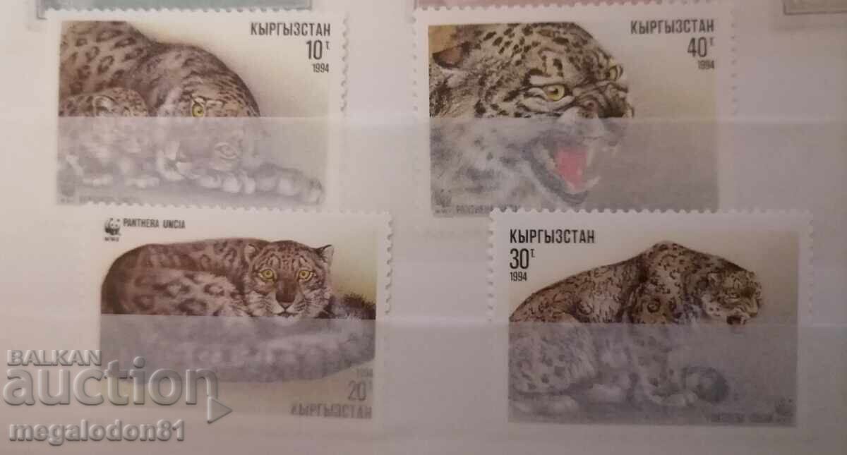 Kârgâzstan - WWF, leopard de zăpadă