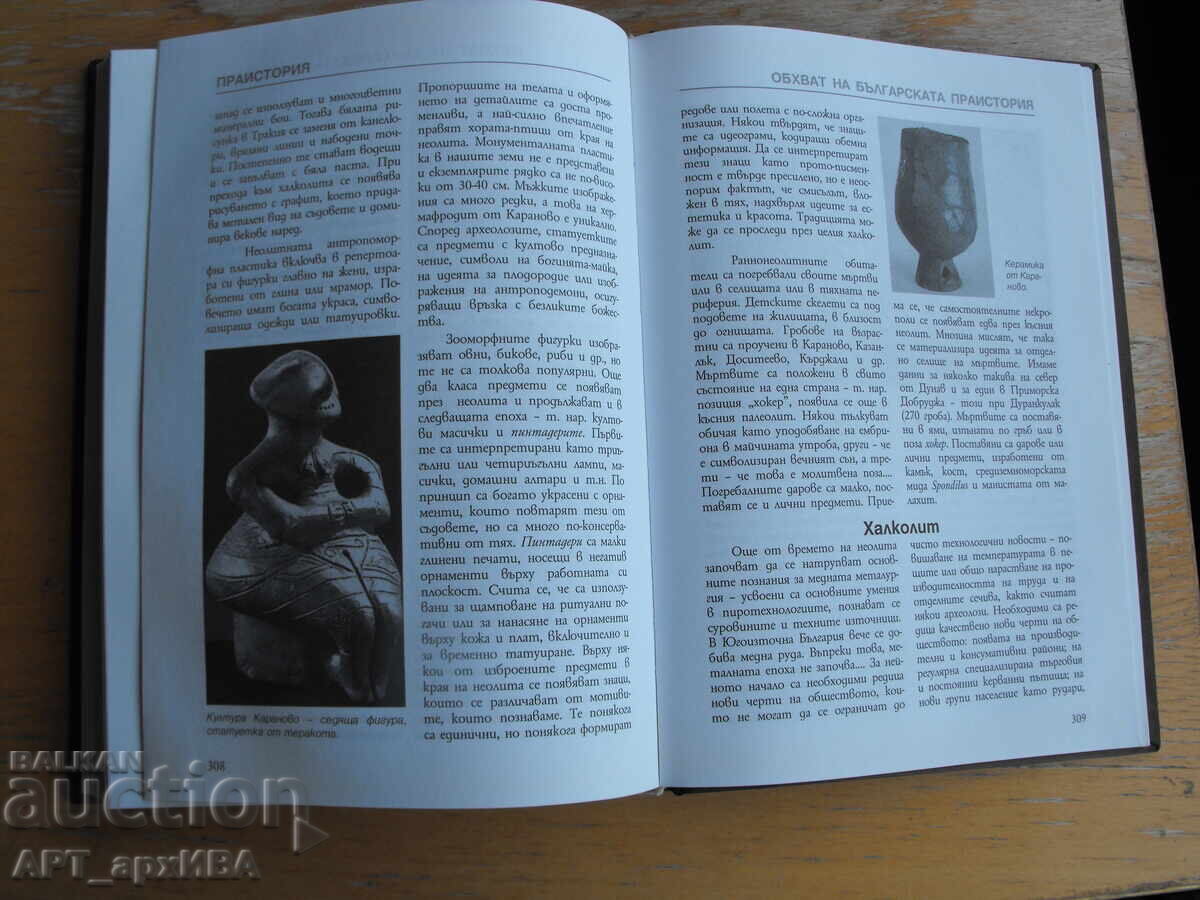 Livrarea LAROUSSE. Istoria lumii. Preistorie. Editura ICON