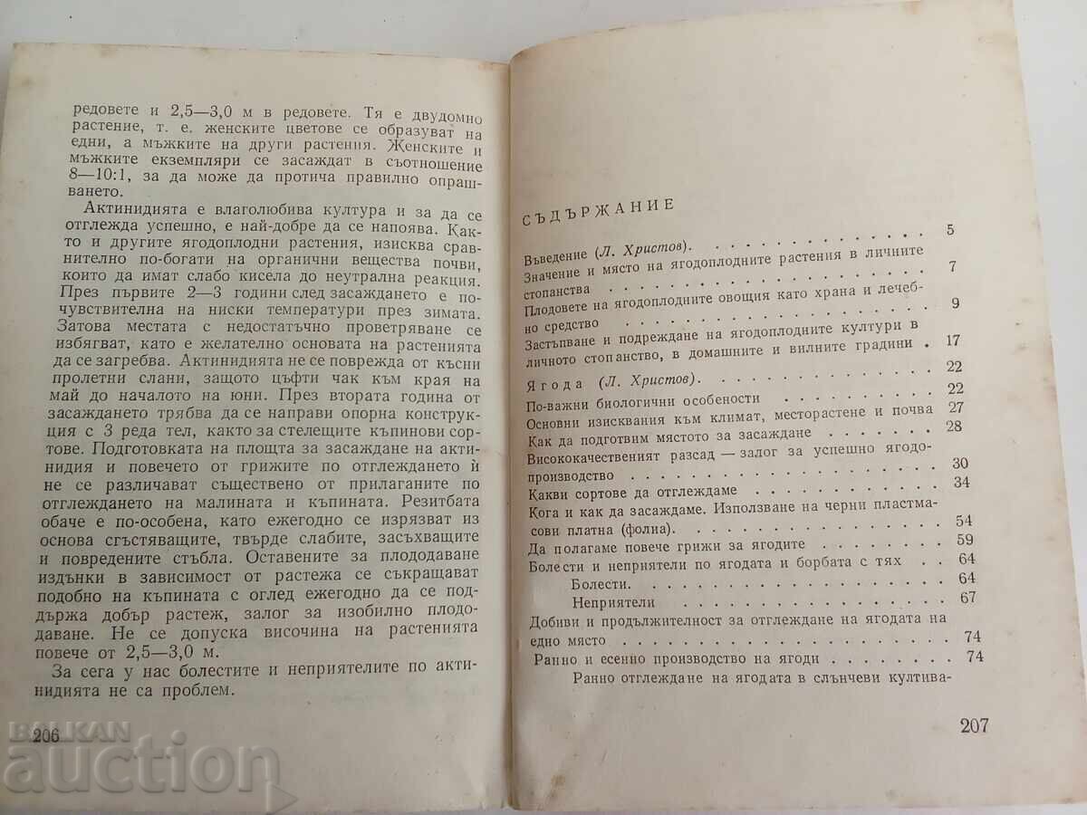 Καλλιέργεια φυτών μούρων με τιμή € 5.00 | 9.78 BGN