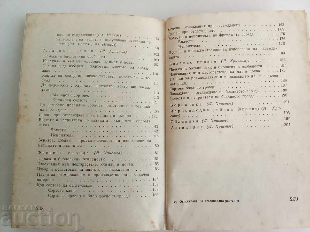 Δημοπρασία Καλλιέργεια φυτών μούρων