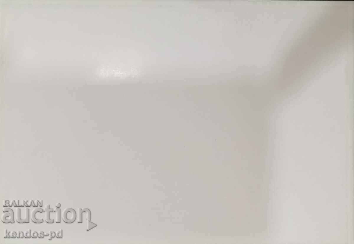 Document militar cu preț € 9.90 | 19.36 BGN